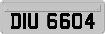 DIU6604