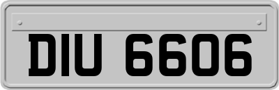 DIU6606