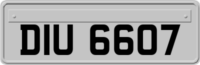 DIU6607