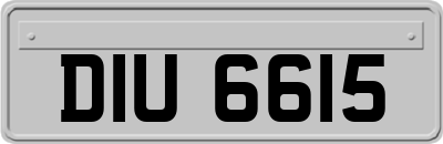 DIU6615