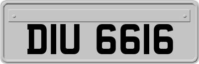 DIU6616