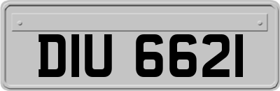 DIU6621