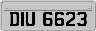 DIU6623