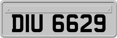 DIU6629