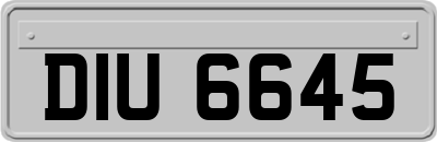DIU6645