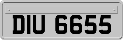 DIU6655