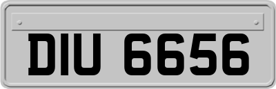 DIU6656