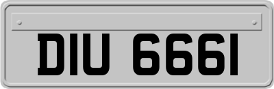 DIU6661