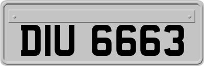 DIU6663