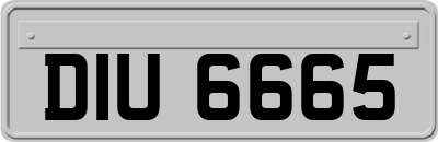 DIU6665