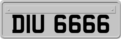 DIU6666