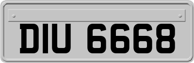 DIU6668