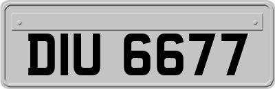 DIU6677