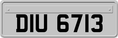 DIU6713