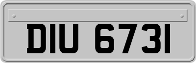 DIU6731