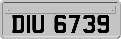 DIU6739