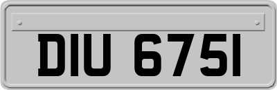 DIU6751