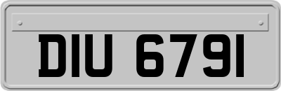 DIU6791
