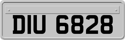 DIU6828