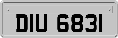 DIU6831