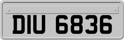 DIU6836