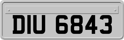 DIU6843