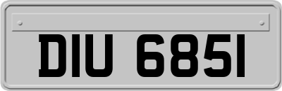DIU6851