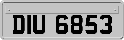 DIU6853