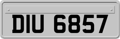 DIU6857