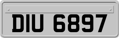 DIU6897