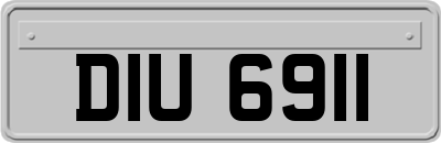 DIU6911