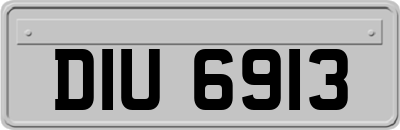 DIU6913