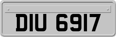 DIU6917