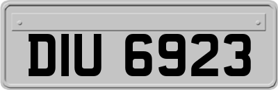DIU6923