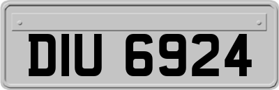 DIU6924