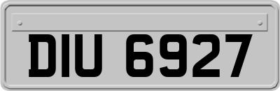 DIU6927