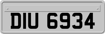 DIU6934