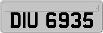 DIU6935