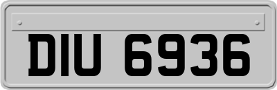 DIU6936