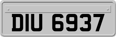 DIU6937