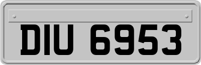 DIU6953