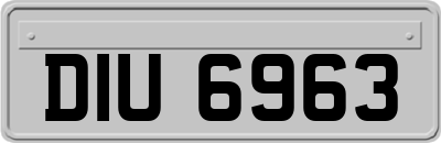 DIU6963