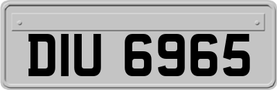 DIU6965