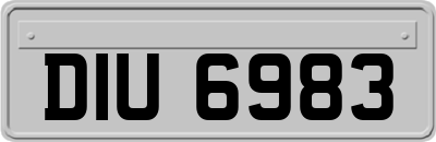 DIU6983