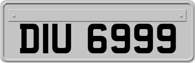 DIU6999