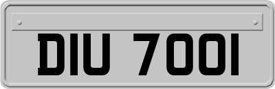 DIU7001