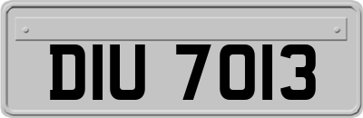 DIU7013