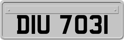 DIU7031