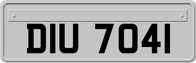 DIU7041