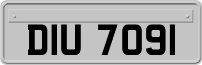 DIU7091